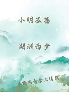 小明苏茜