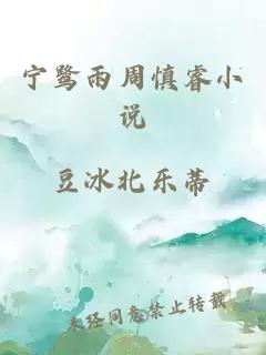 宁鹭雨周慎睿小说