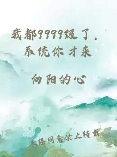 我都9999级了，系统你才来