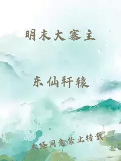 明末大寨主