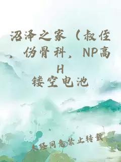 沼泽之家（叔侄，伪骨科，NP高H