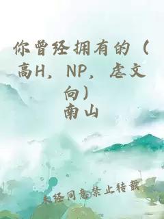 你曾经拥有的（高H，NP，虐文向）