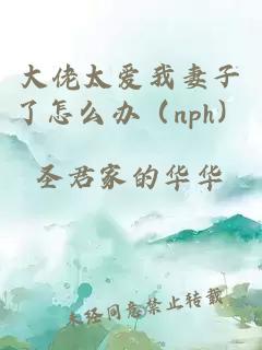 大佬太爱我妻子了怎么办（nph）