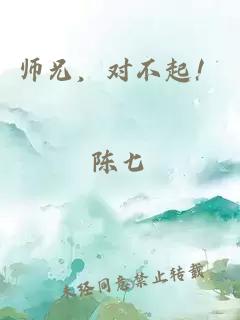 师兄，对不起！