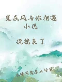 变成风与你相遇小说