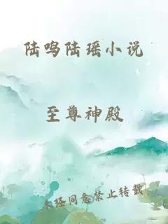 陆鸣陆瑶小说