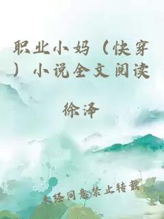 职业小妈（快穿）小说全文阅读